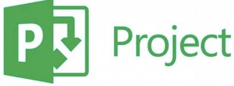 How to setup Microsoft Project 2016 professional